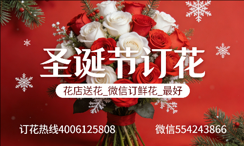 上海南汇区花店送花_微信订鲜花_圣诞节订花_最好? 上海南汇区花店